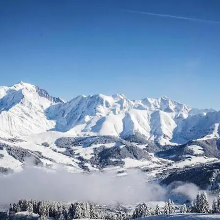 Апартаменты Magnifique Au Coeur De