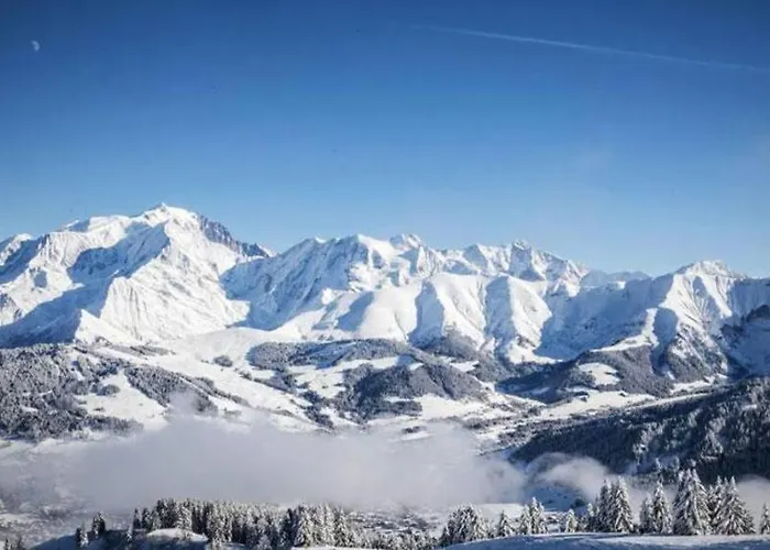 Апартаменты Magnifique Au Coeur De