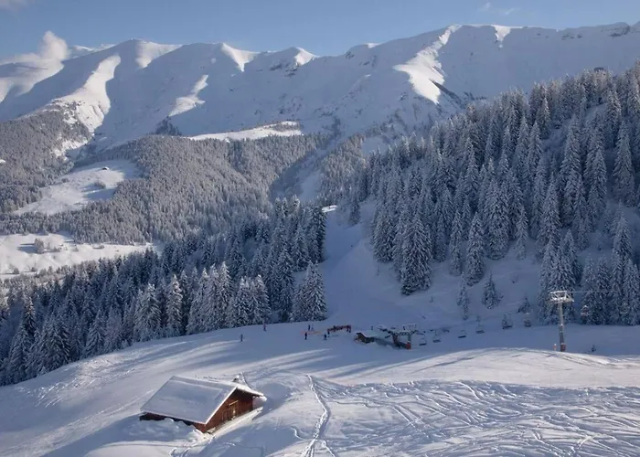 Magnifique Au Coeur De