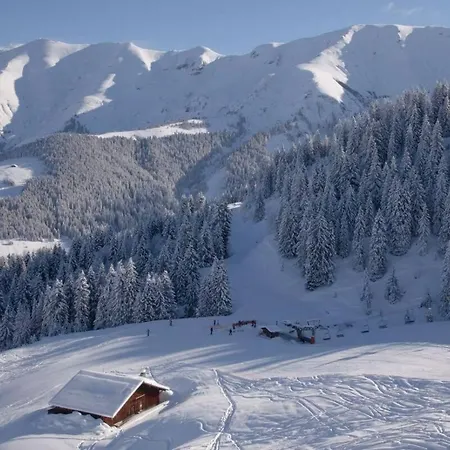 Magnifique Au Coeur De